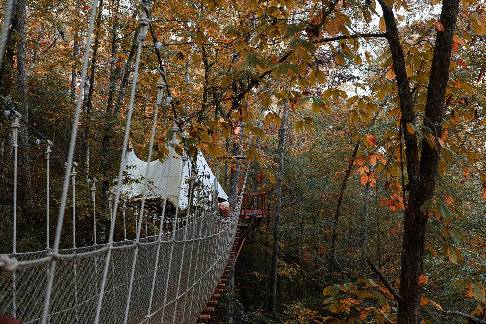 Fall bridge at eye level with string lights