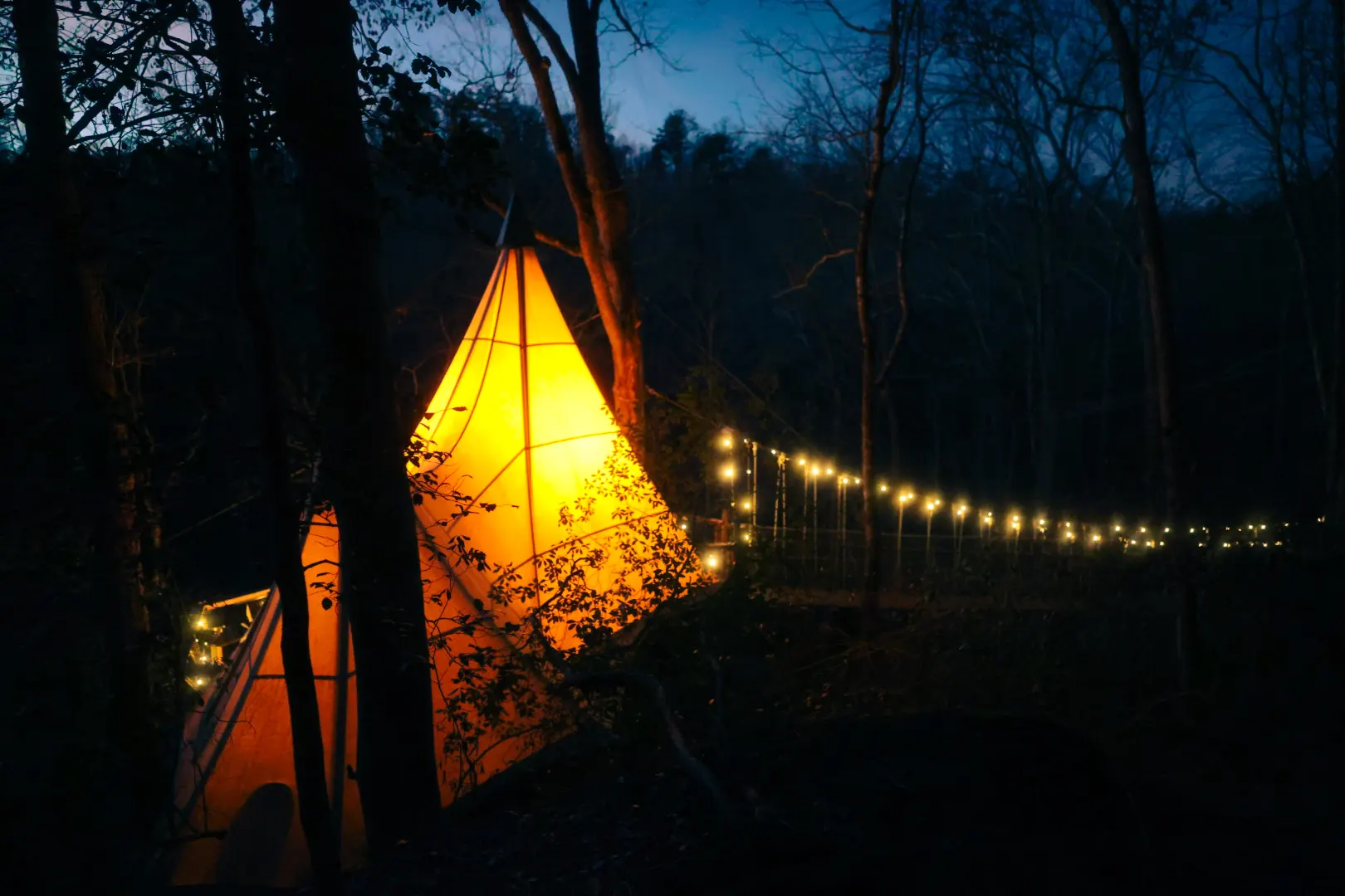 Treehouse glowing at dusk through the forest