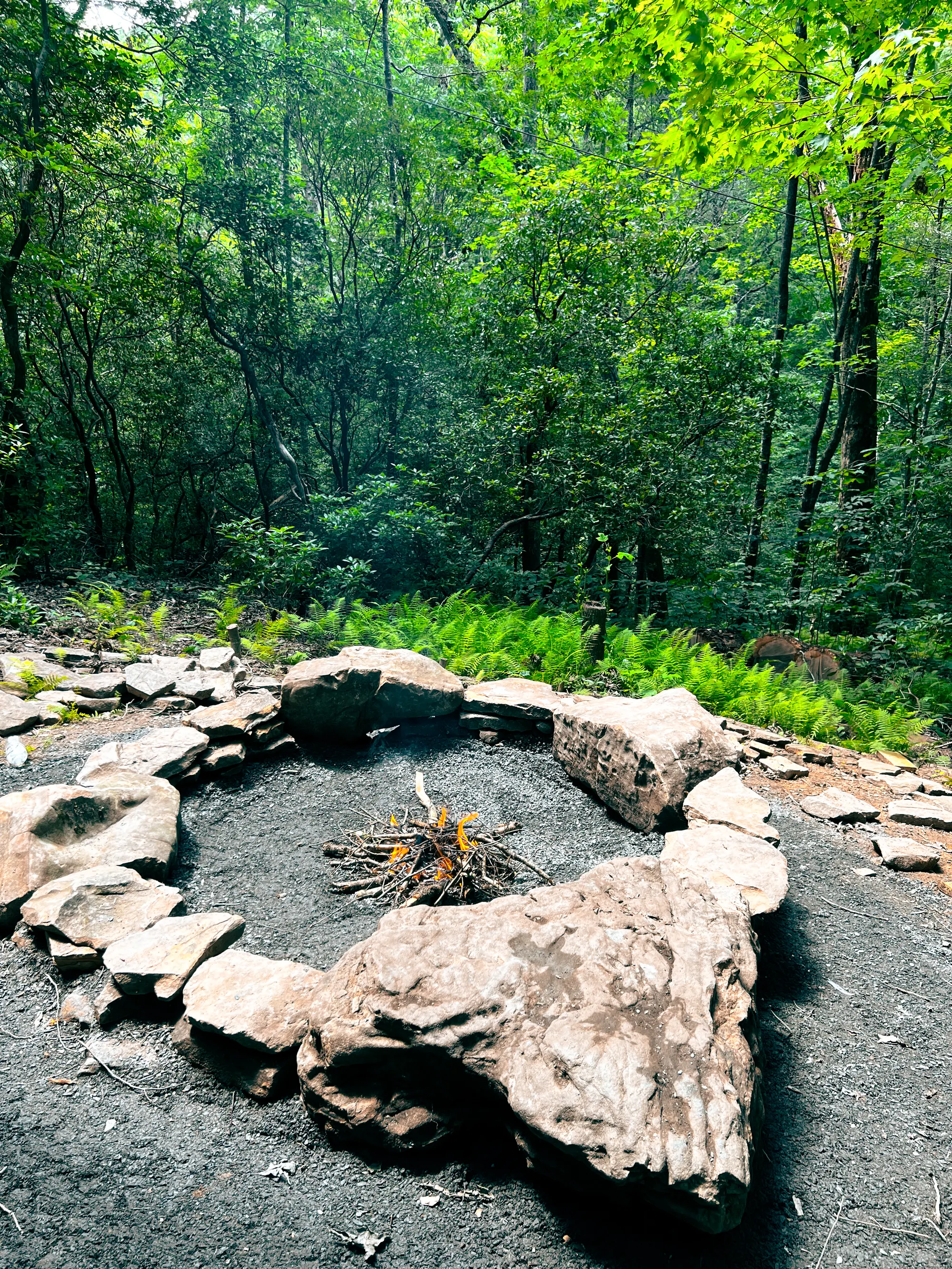 Boulder fire pit with ferns and forest